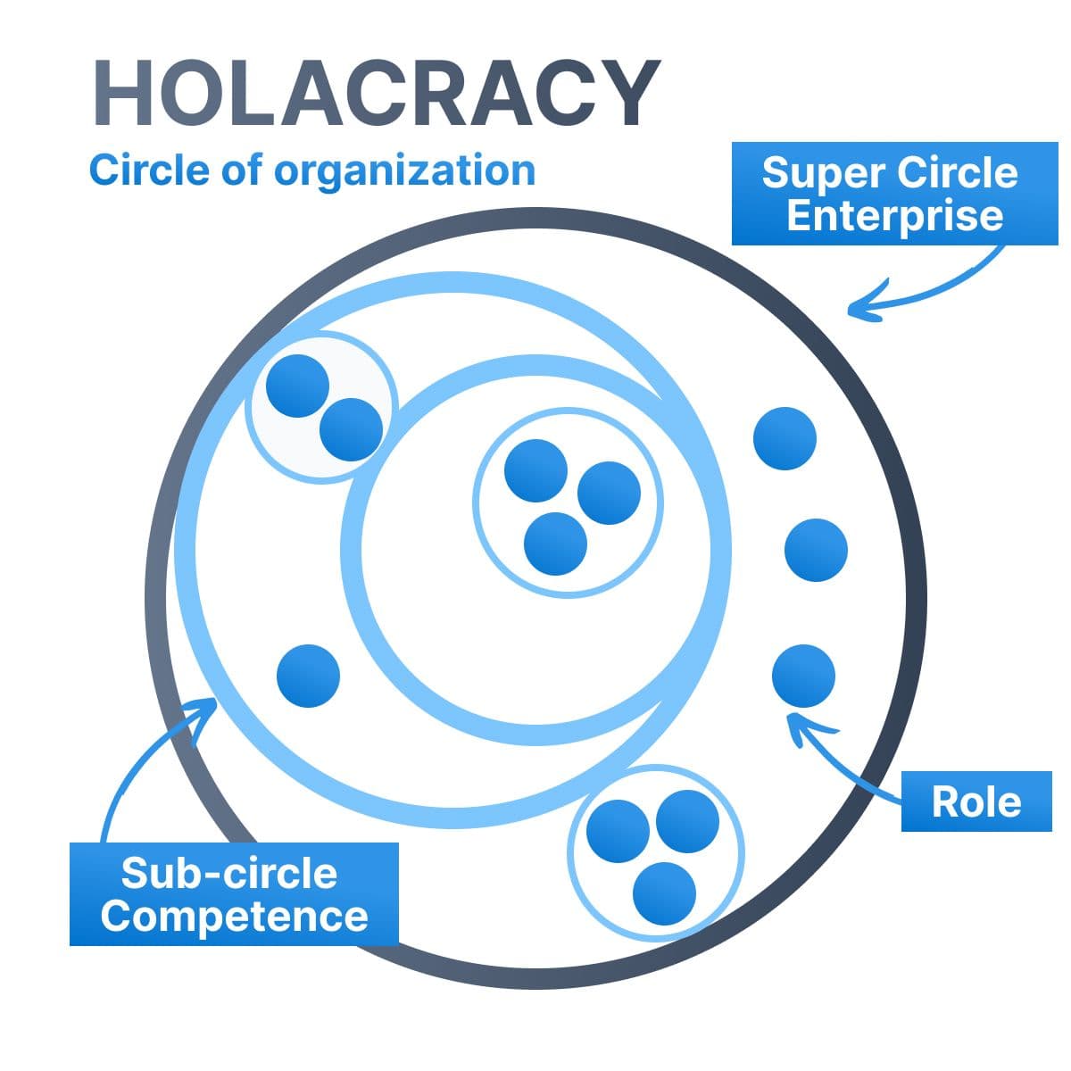 Graphic depicting the circle structure and roles in Holacracy, showing how autonomous teams and interconnected roles operate without traditional hierarchy.