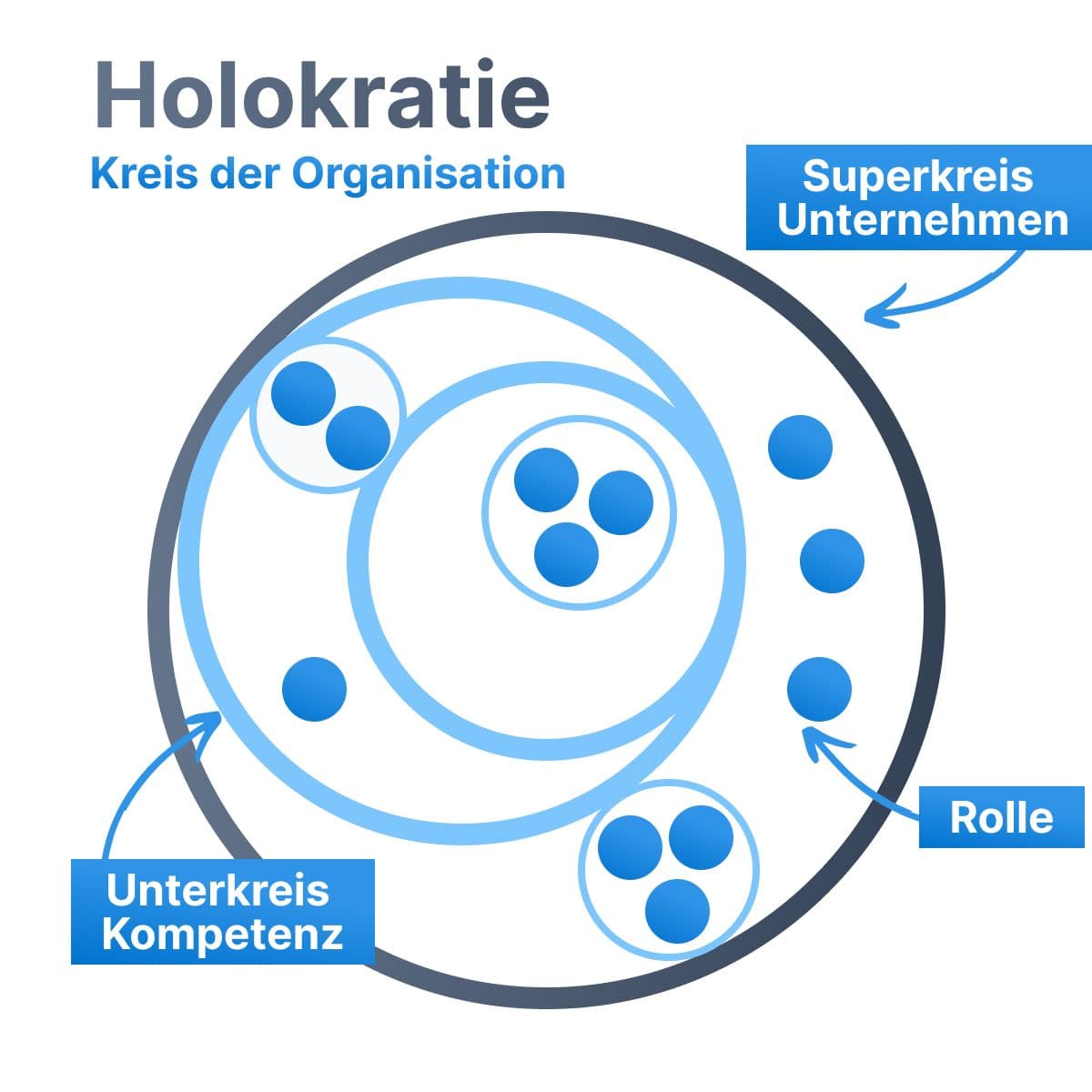 Diagramm, das die Kreisstruktur und Rollen in der Holacracy zeigt, wie autonome Teams und vernetzte Rollen ohne traditionelle Hierarchie funktionieren.