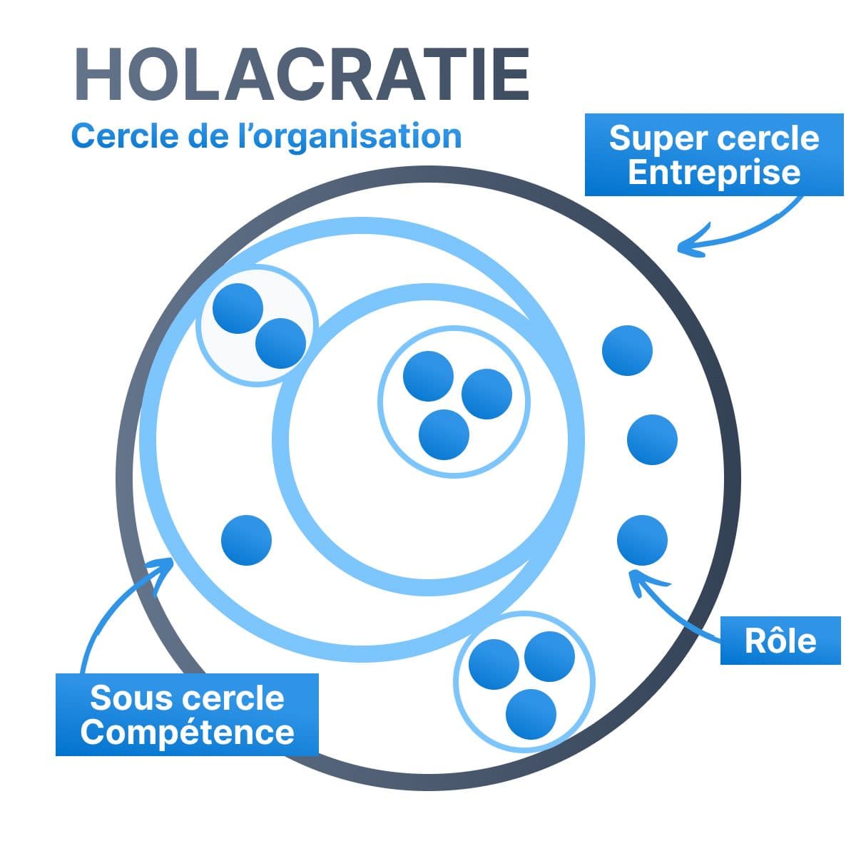 Graphique illustrant la structure en cercles et les rôles dans l'holacratie, montrant comment les équipes autonomes et les rôles interconnectés fonctionnent sans hiérarchie traditionnelle.